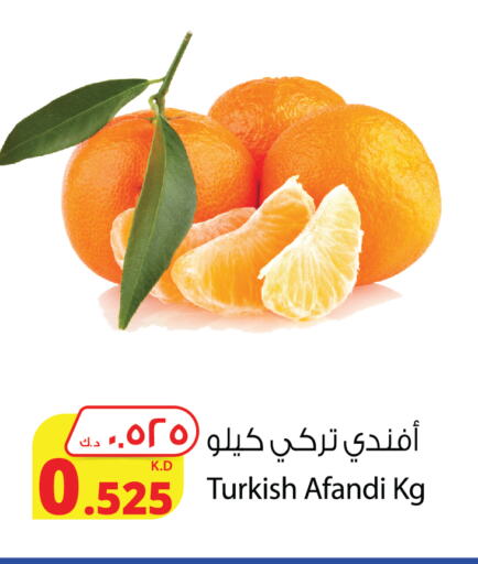 برتقال from Turkey available at شركة المنتجات الزراعية الغذائية in الكويت - محافظة الجهراء