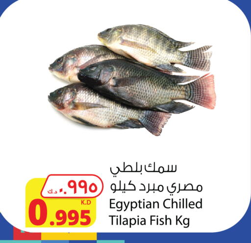 available at شركة المنتجات الزراعية الغذائية in الكويت - مدينة الكويت