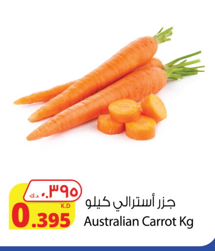 جزر from Australia available at شركة المنتجات الزراعية الغذائية in الكويت - مدينة الكويت