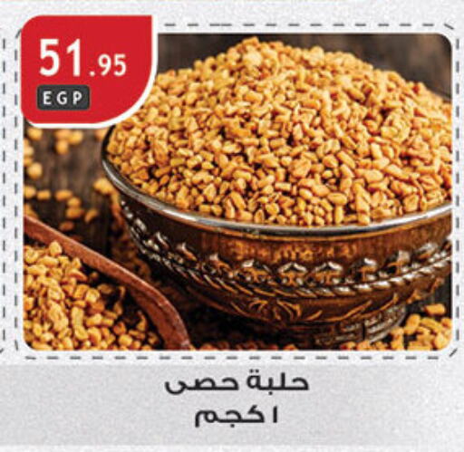 available at Al Rayah Market   in Egypt - Cairo