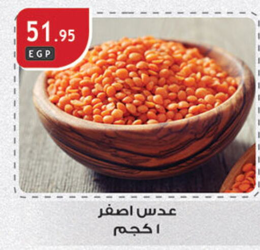 available at Al Rayah Market   in Egypt - Cairo