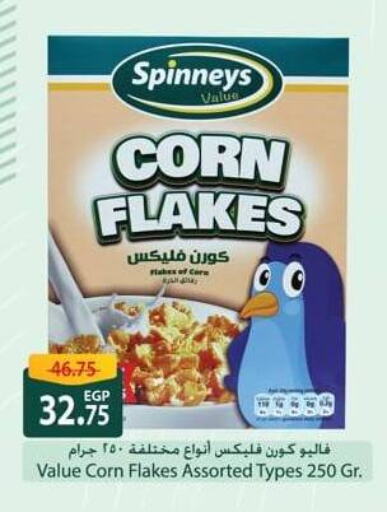 Corn Flakes available at Spinneys  in Egypt - Cairo