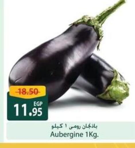 available at Spinneys  in Egypt - Cairo