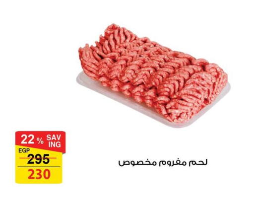 available at فتح الله in Egypt - القاهرة