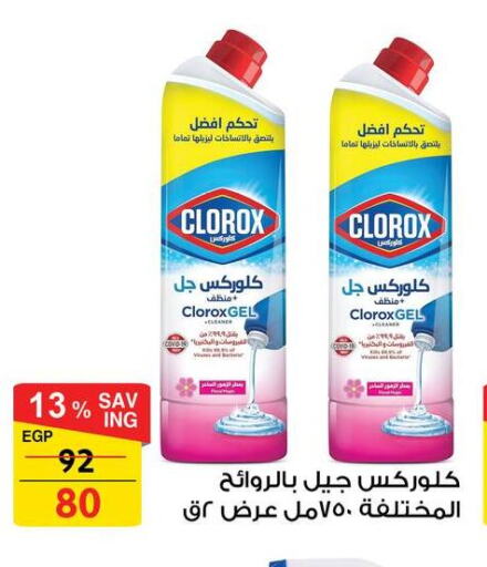 CLOROX General Cleaner available at Fathalla Market  in Egypt - Cairo