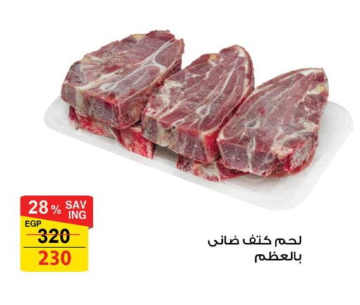 available at فتح الله in Egypt - القاهرة