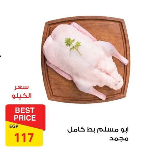 available at فتح الله in Egypt - القاهرة