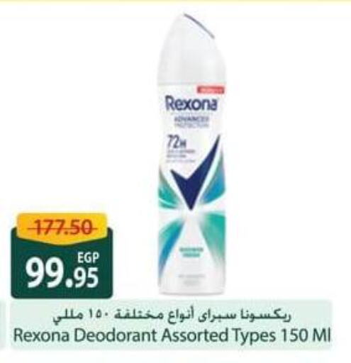 REXONA available at Spinneys  in Egypt - Cairo