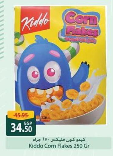 Corn Flakes available at Spinneys  in Egypt - Cairo