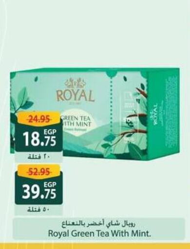 Green Tea available at Spinneys  in Egypt - Cairo