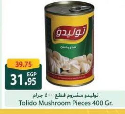 Mushroom available at سبينس in Egypt - القاهرة