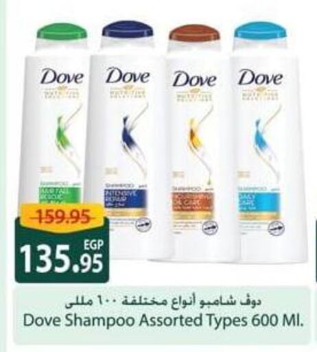 DOVE Shampoo / Conditioner available at Spinneys  in Egypt - Cairo