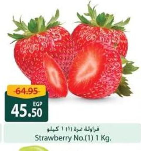 Strawberry available at Spinneys  in Egypt - Cairo