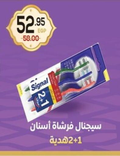 SIGNAL Toothbrush available at Aldoha Market in Egypt - Cairo