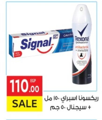 سيجنال available at المحلاوي ماركت in Egypt - القاهرة