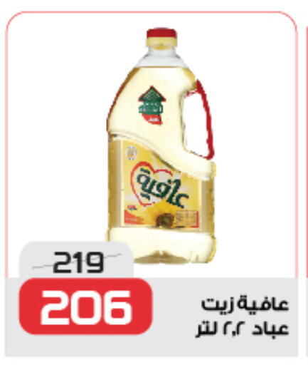 إندومي available at زهران ماركت in Egypt - القاهرة