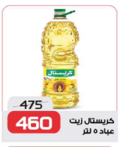 available at زهران ماركت in Egypt - القاهرة