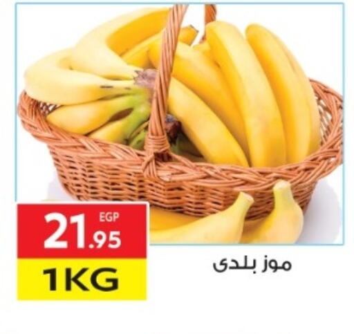 موز available at المحلاوي ماركت in Egypt - القاهرة