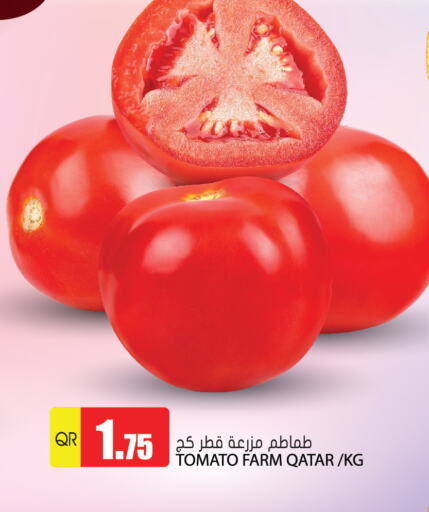 Tomato available at جراند هايبرماركت in قطر - الشحانية