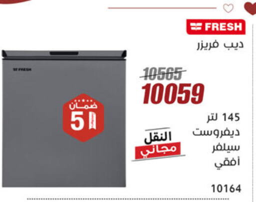 FRESH Freezer available at Al Morshedy  in Egypt - Cairo