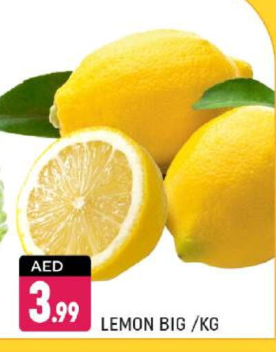 lemon available at شكلان ماركت in الإمارات العربية المتحدة , الامارات - دبي