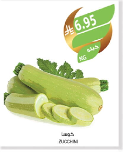 Zucchini available at Farm  in KSA, Saudi Arabia, Saudi - Al Hasa