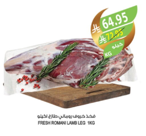 Mutton / Lamb available at Farm  in KSA, Saudi Arabia, Saudi - Tabuk