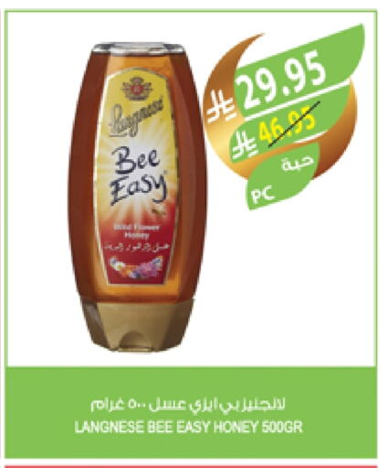 Honey available at Farm  in KSA, Saudi Arabia, Saudi - Abha