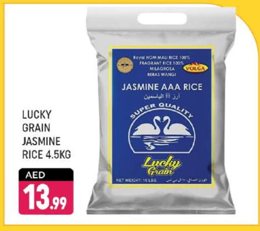 VOLGA Jasmine Rice available at Shaklan  in UAE - Dubai