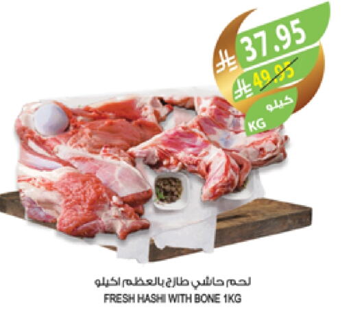 Camel meat available at Farm  in KSA, Saudi Arabia, Saudi - Najran