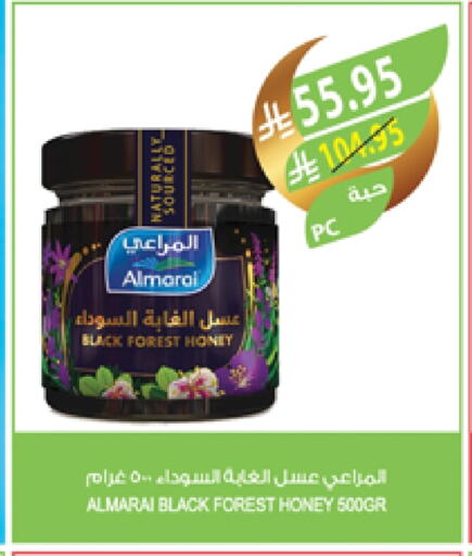 ALMARAI Honey available at Farm  in KSA, Saudi Arabia, Saudi - Najran