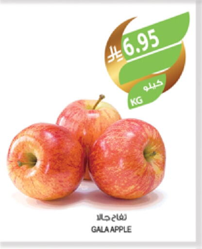 Apples available at Farm  in KSA, Saudi Arabia, Saudi - Dammam