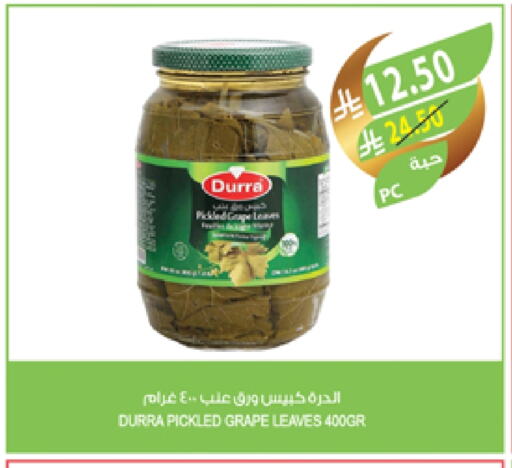 DURRA available at Farm  in KSA, Saudi Arabia, Saudi - Qatif