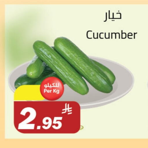 Cucumber available at Supermarket Stor in KSA, Saudi Arabia, Saudi - Riyadh