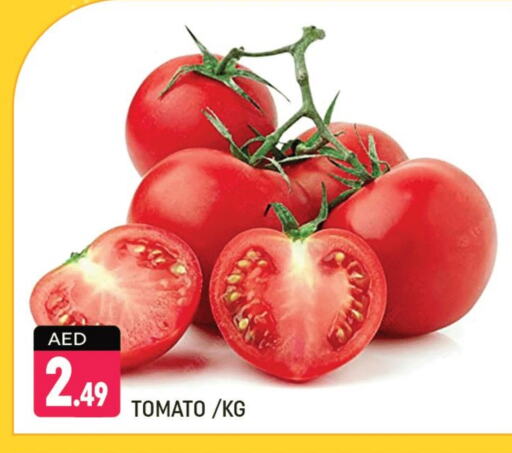 Tomato available at Shaklan  in UAE - Dubai