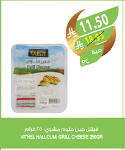 Halloumi available at Farm  in KSA, Saudi Arabia, Saudi - Najran