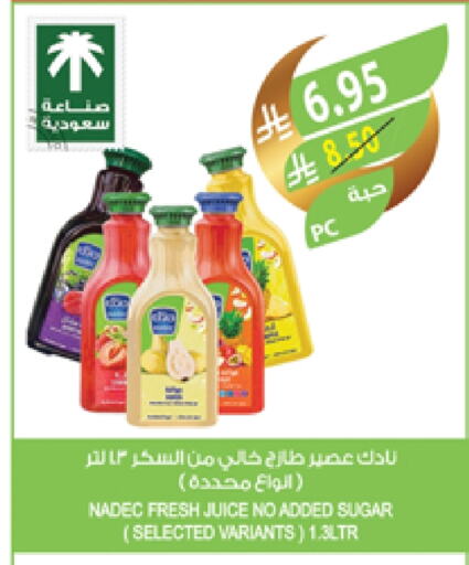 NADEC available at Farm  in KSA, Saudi Arabia, Saudi - Yanbu