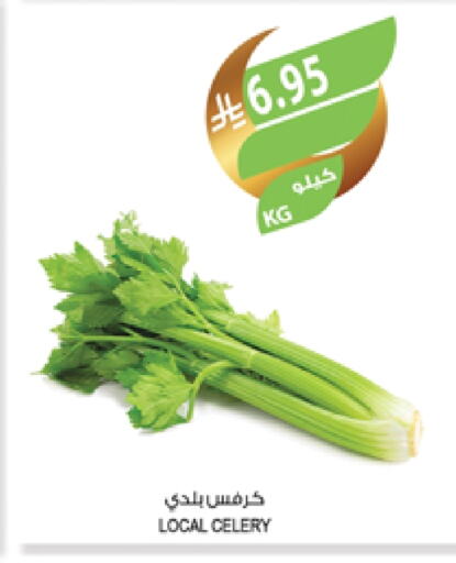 Celery available at Farm  in KSA, Saudi Arabia, Saudi - Sakaka