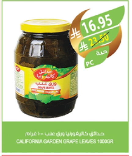 كاليفورنيا جاردن available at المزرعة in مملكة العربية السعودية, السعودية, سعودية - ينبع