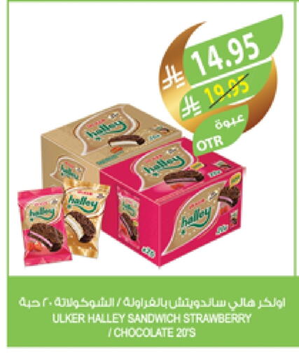 Strawberry available at المزرعة in مملكة العربية السعودية, السعودية, سعودية - المنطقة الشرقية