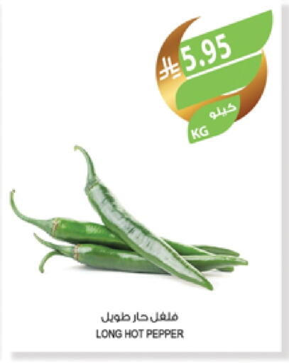 Chilli / Capsicum available at Farm  in KSA, Saudi Arabia, Saudi - Al Khobar