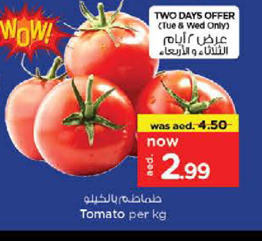 Tomato available at Nesto Hypermarket in UAE - Sharjah / Ajman