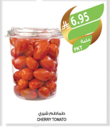 Tomato available at Farm  in KSA, Saudi Arabia, Saudi - Al Bahah