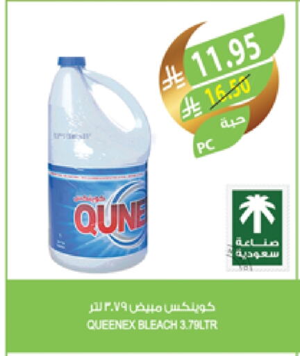 QUEENEX Bleach available at Farm  in KSA, Saudi Arabia, Saudi - Al Hasa