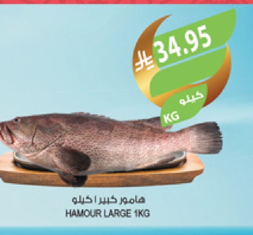 available at Farm  in KSA, Saudi Arabia, Saudi - Al Khobar