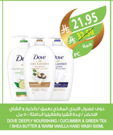 DOVE available at Farm  in KSA, Saudi Arabia, Saudi - Jazan