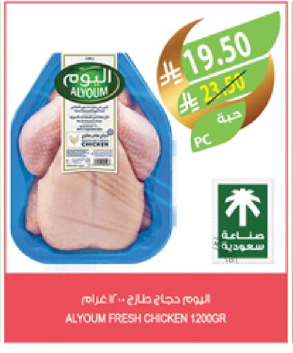 Fresh Whole Chicken available at Farm  in KSA, Saudi Arabia, Saudi - Al Hasa