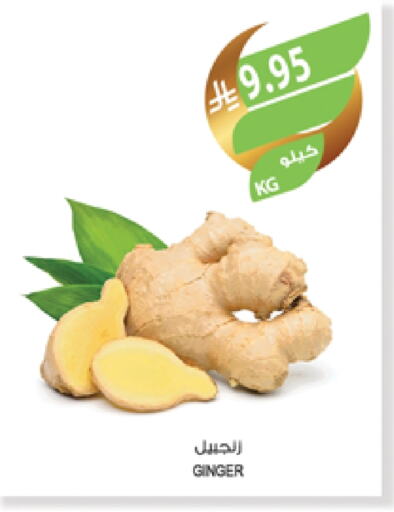 Ginger available at Farm  in KSA, Saudi Arabia, Saudi - Dammam