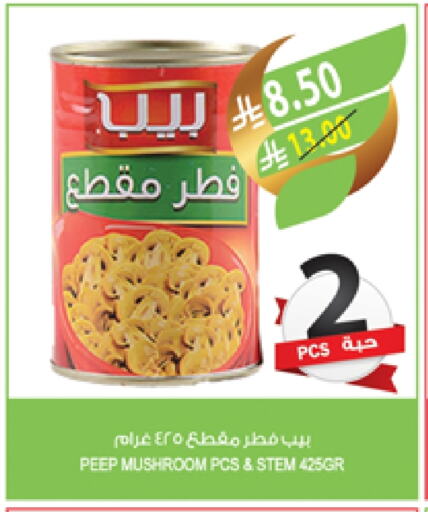 Mushroom available at المزرعة in مملكة العربية السعودية, السعودية, سعودية - عرعر