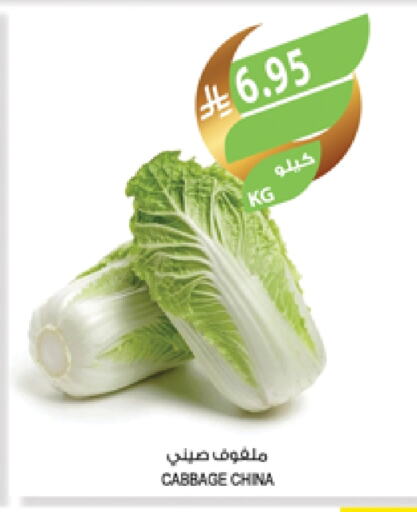 Cabbage from China available at Farm  in KSA, Saudi Arabia, Saudi - Najran